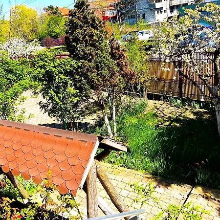 Egreta * Eforie Nord