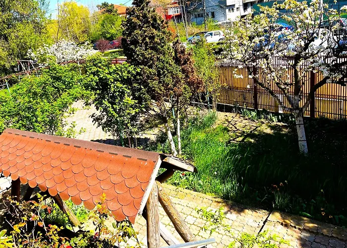 Egreta * Észak-Eforie